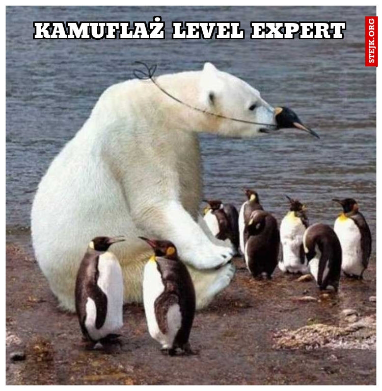 Kamuflaż level EXPERT