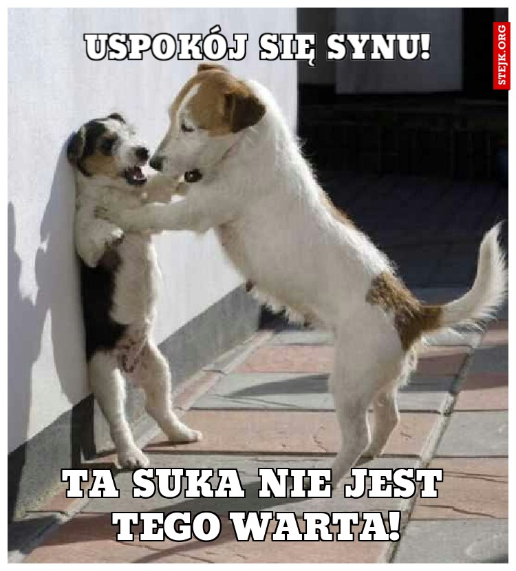 Uspokój się synu!