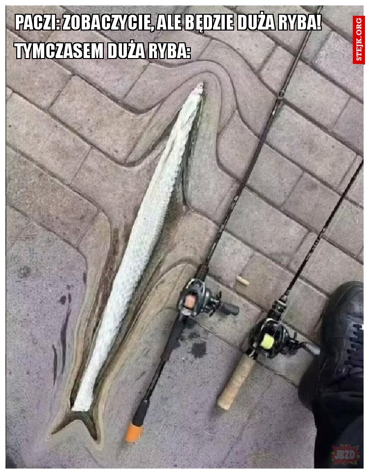 Paczi: Zobaczycie, ale będzie duża ryba!
