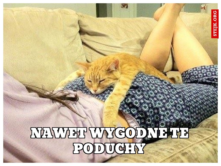 Nawet wygodne te poduchy