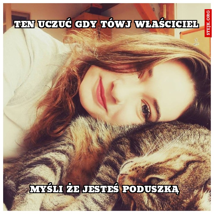 Ten Uczuć gdy tówj właściciel