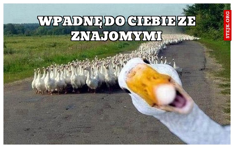 Wpadnę do Ciebie ze znajomymi