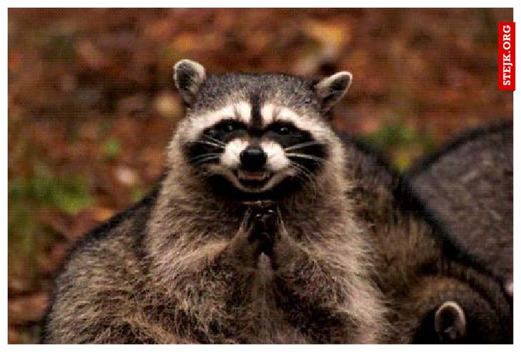 „Dziś jest pierwszy dzień z reszty twojego życia.”