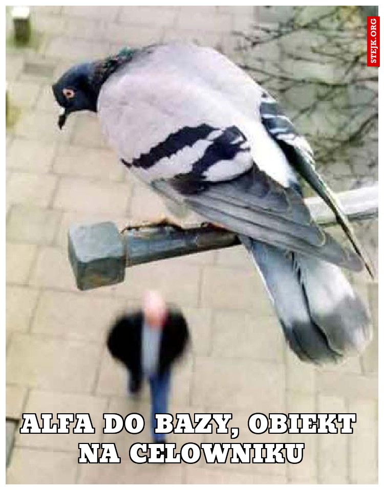 Alfa do bazy, obiekt na celowniku