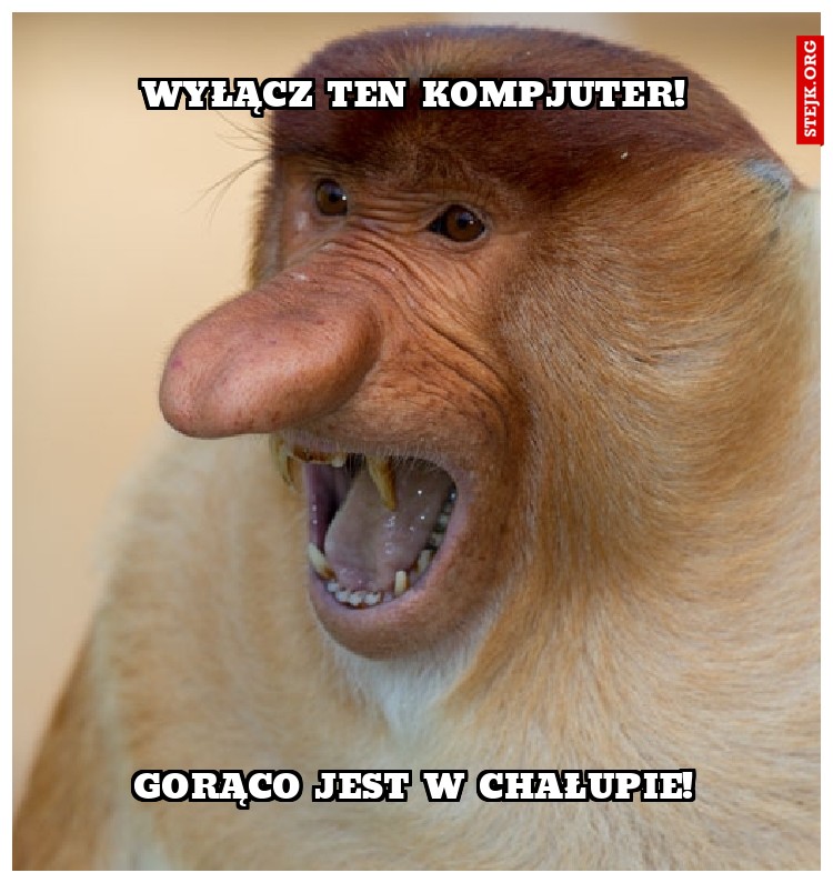 Wyłącz ten kompjuter!