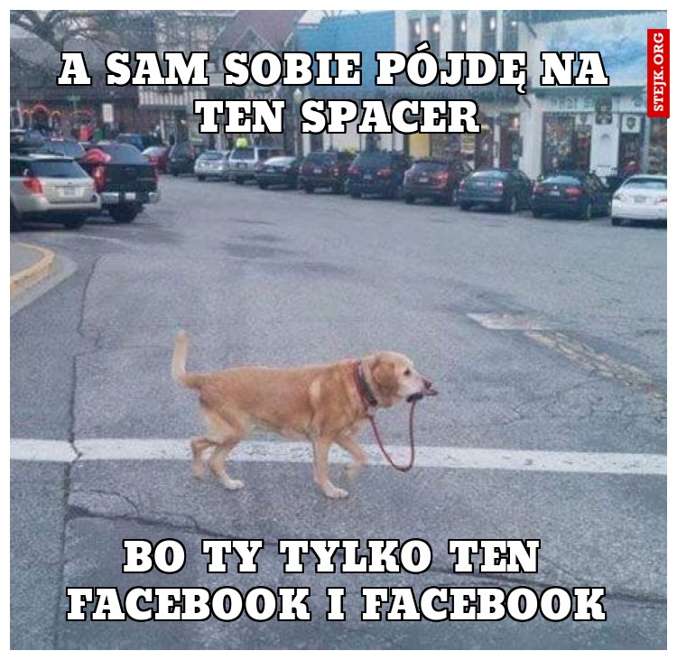 A sam sobie pójdę na ten spacer