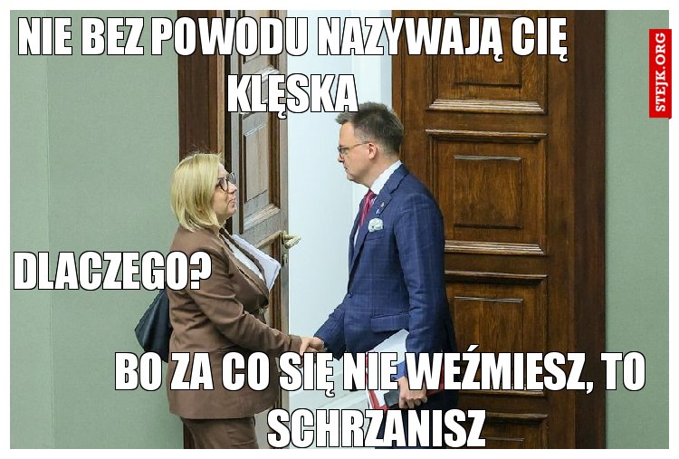 Nie bez powodu nazywają cię klęska