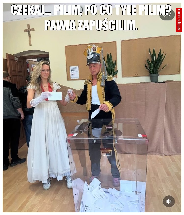 Czekaj... Pilim, po co tyle pilim? Pawia zapuścilim.