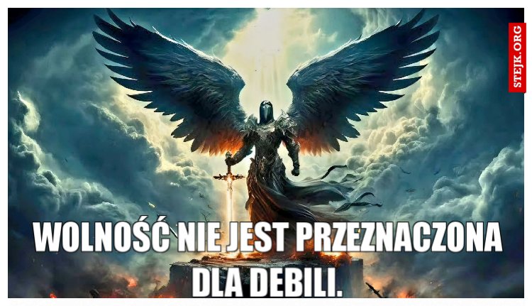 Wolność nie jest przeznaczona dla debili.