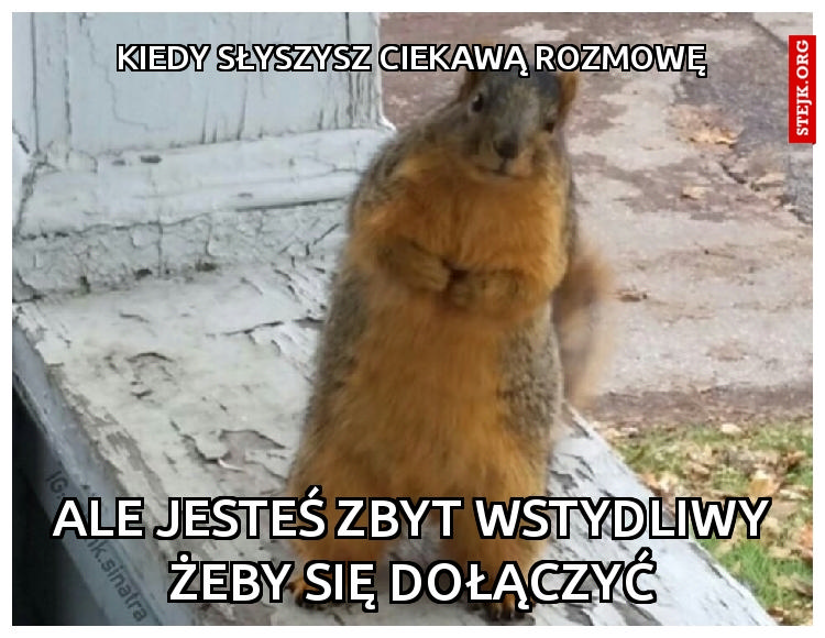 Kiedy słyszysz ciekawą rozmowę