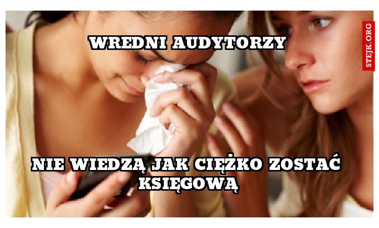 Wredni Audytorzy