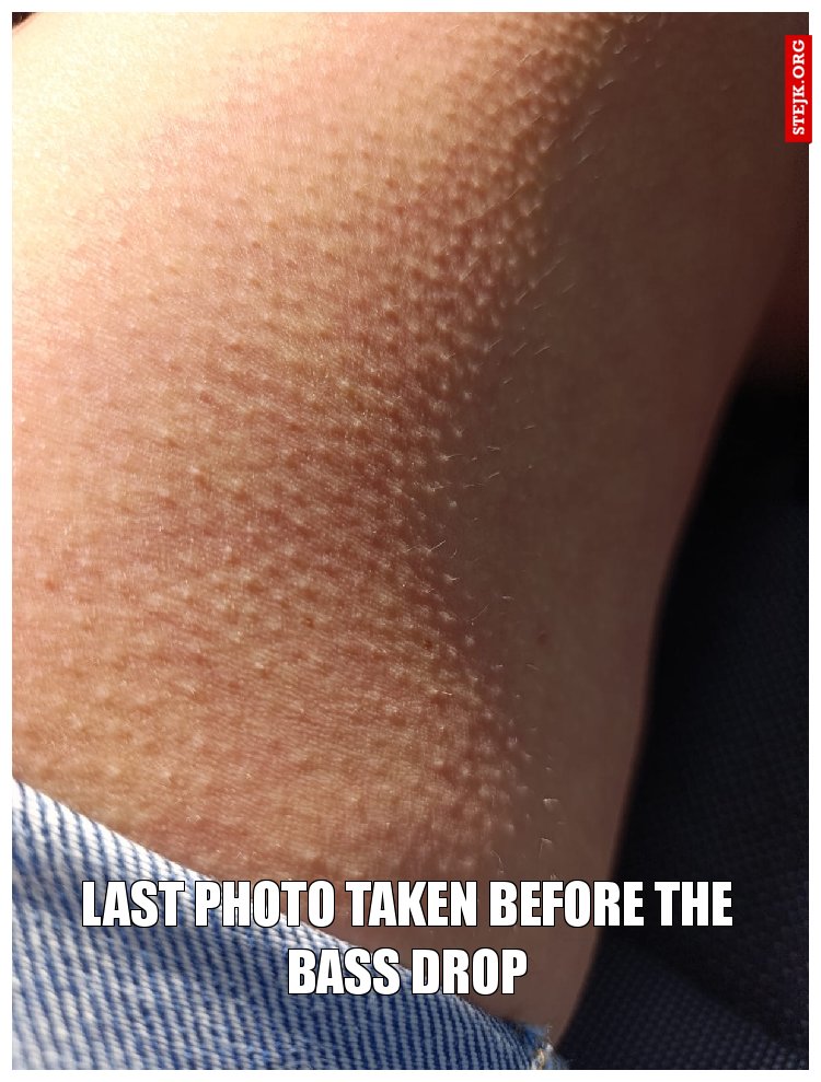 Last photo taken before the bass drop