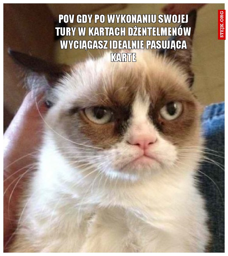 POV gDY PO WYKONANIU SWOJEJ TURY W KARTACH DŻENTELMENÓW WYCIĄGASZ IDEALNIE PASUJĄCA KARTE
