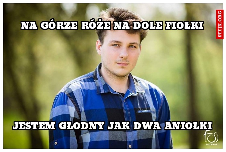 na górze róże na dole fiołki