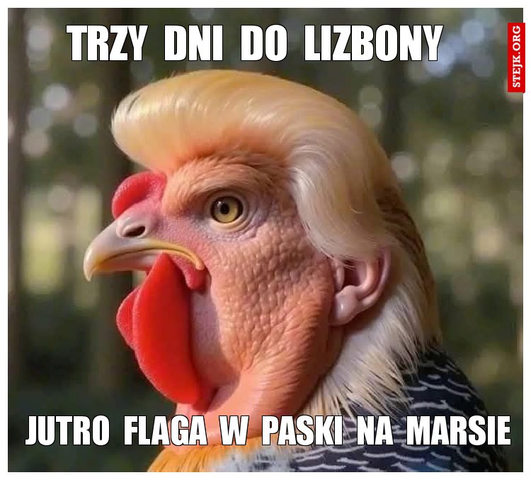jutro  flaga  w  paski  na  Marsie