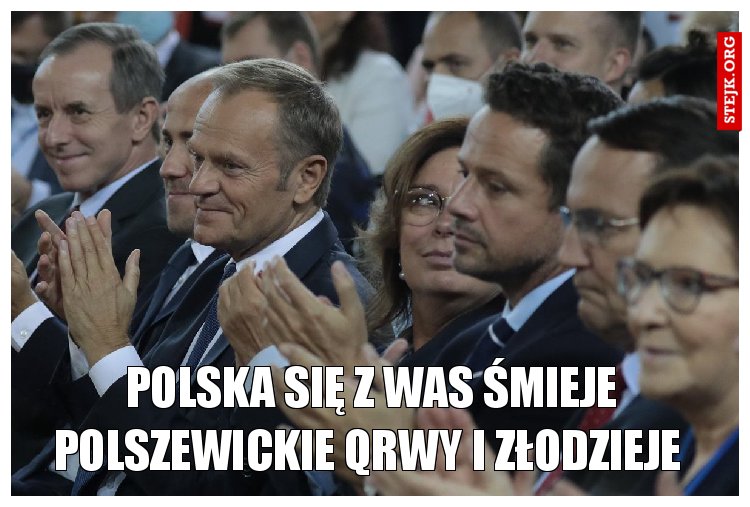 Polska się z was śmieje polszewickie qrwy i złodzieje 