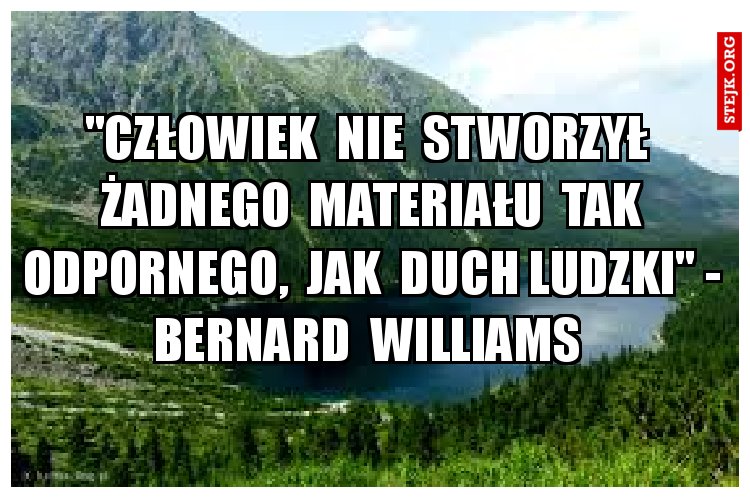 "Człowiek  nie  stworzył  żadnego  materiału  tak odpornego,  jak  duch ludzki" - Bernard  Williams 