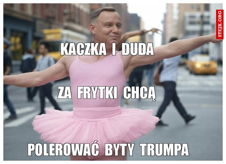 Kaczka  i  Duda 