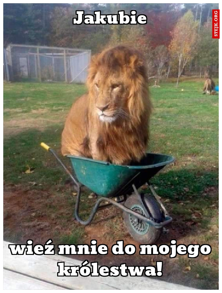 Wieź mnie do mojego królestwa!