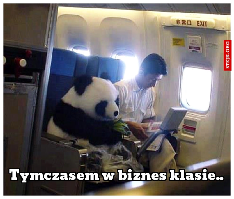 Tymczasem w biznes klasie..