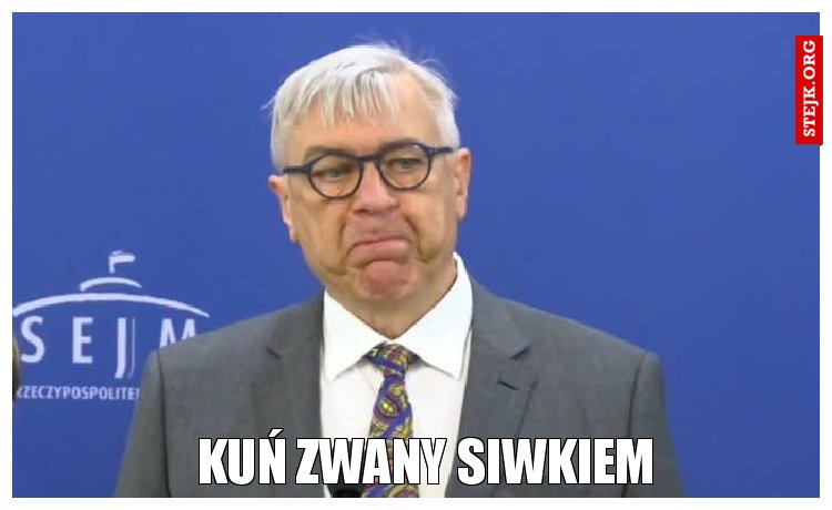 Kuń zwany siwkiem 