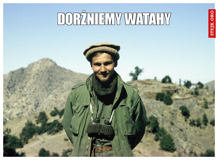 dorżniemy watahy