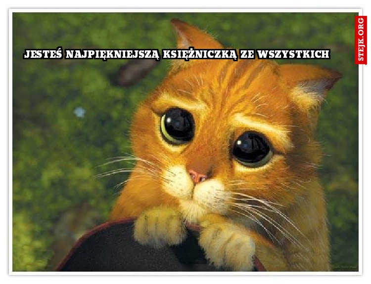 JESTEŚ NAJPIĘKNIEJSZĄ KSIĘŻNICZKĄ ZE WSZYSTKICH