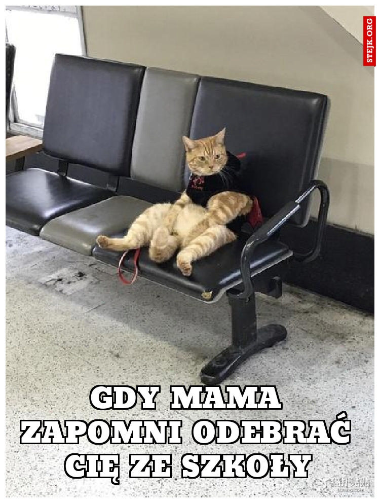 Gdy mama zapomni odebrać cię ze szkoły