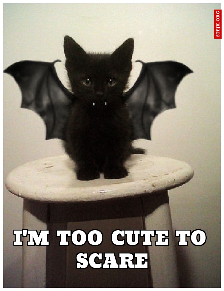 I'M TOO CUTE TO SCARE